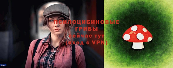 соль ск Богданович