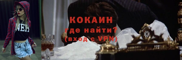 соль ск Богданович