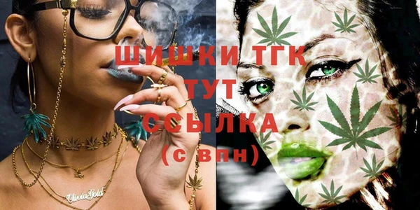 винт Богородицк