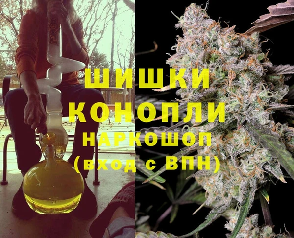 соль ск Богданович
