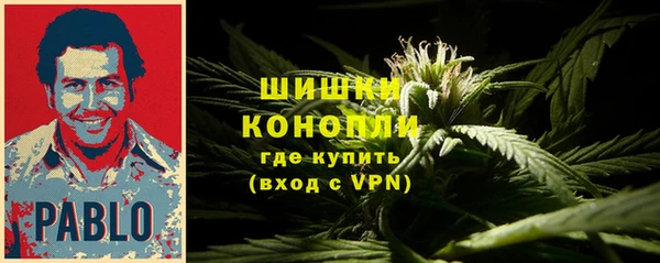 меф Снежинск