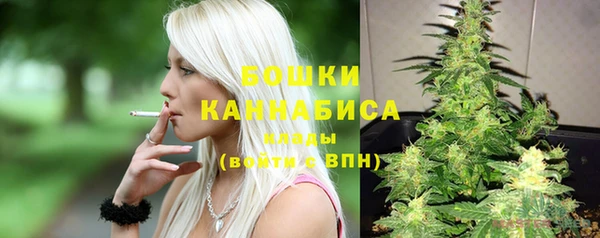 соль ск Богданович