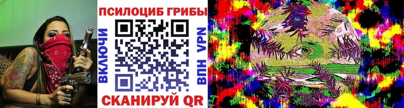 закладка  Бузулук  Галлюциногенные грибы Psilocybine cubensis 